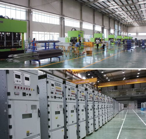 電氣時(shí)代網(wǎng) 人物訪談