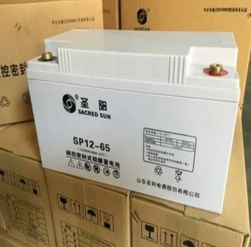 圣陽(yáng)蓄電池6gfm 100 12v100ah直流屏電池包郵